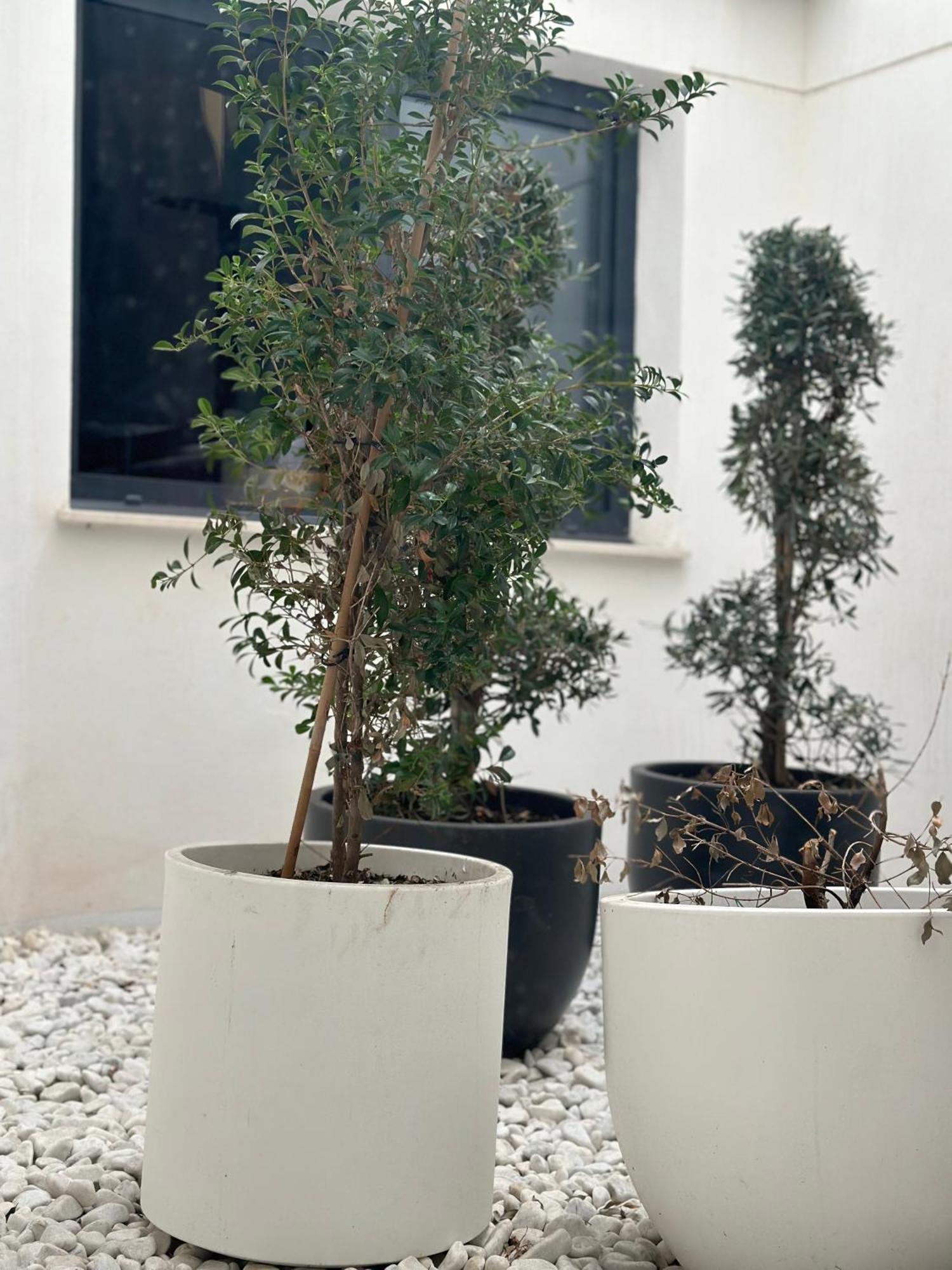 Hostel Alicante A-Cero Living Extérieur photo